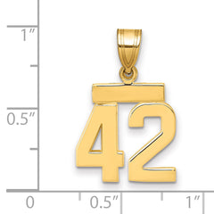 14k Small Polished Number 42 Charm