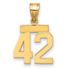 14k Small Polished Number 42 Charm