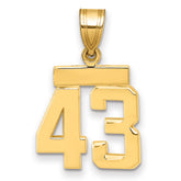 14k Small Polished Number 43 Charm