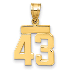 14k Small Polished Number 43 Charm