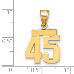 14k Small Polished Number 45 Charm