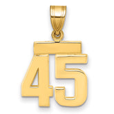 14k Small Polished Number 45 Charm