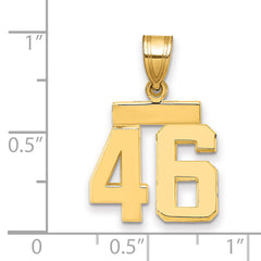 14k Small Polished Number 46 Charm