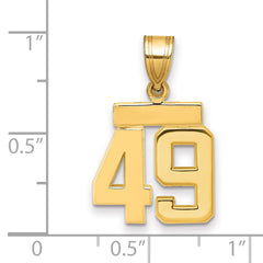 14k Small Polished Number 49 Charm