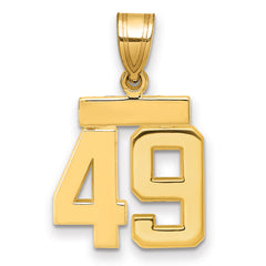14k Small Polished Number 49 Charm