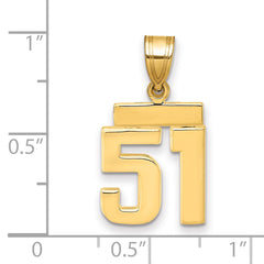 14k Small Polished Number 51 Charm