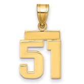 14k Small Polished Number 51 Charm