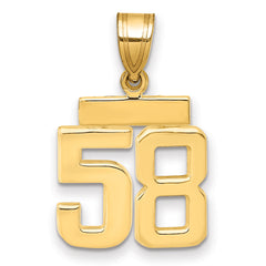 14k Small Polished Number 58 Charm