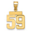10k Small Polished Number 59 Charm