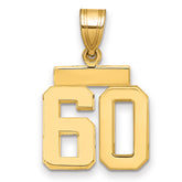 14k Small Polished Number 60 Charm