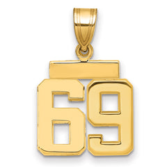14k Small Polished Number 69 Charm