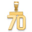 14k Small Polished Number 70 Charm