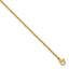 Women's Polished Gold-Tone Stainless Steel Anklet