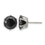 Stainless Steel Polished Round Black Cubic Zirconia Stud Earrings