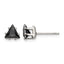 Stainless Steel Polished Black Cubic Zirconia Stud Earrings