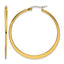 Stainless Steel Gold-Tone Polished Hoop Earrings for Women