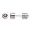 Stainless Steel Polished Purple Cubic Zirconia Birthstone Stud Earrings for Women