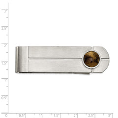 Chisel Stainless Steel Brushed with Tiger's Eye Money Clip