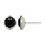 Titanium Polished Black Cubic Zirconia Stud Earrings