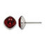 Titanium Polished Red Cubic Zirconia Stud Earrings