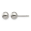 Titanium Polished Ball Earrings