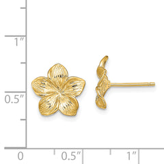 14K Plumeria Flower Post Earrings