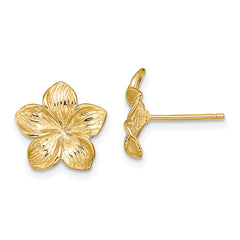 14K Plumeria Flower Post Earrings