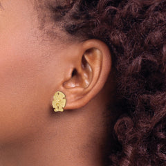 14K Textured Sand Dollar Earrings