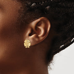 14K Textured Sand Dollar Earrings