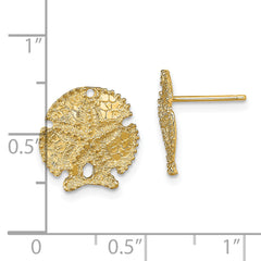 14K Textured Sand Dollar Earrings