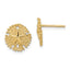 Sand Dollar Stud Earrings in 14K Yellow Gold, 10.3mm Textured - Sophia Jewelers