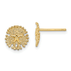 14K Textured Sand Dollar Post Earrings