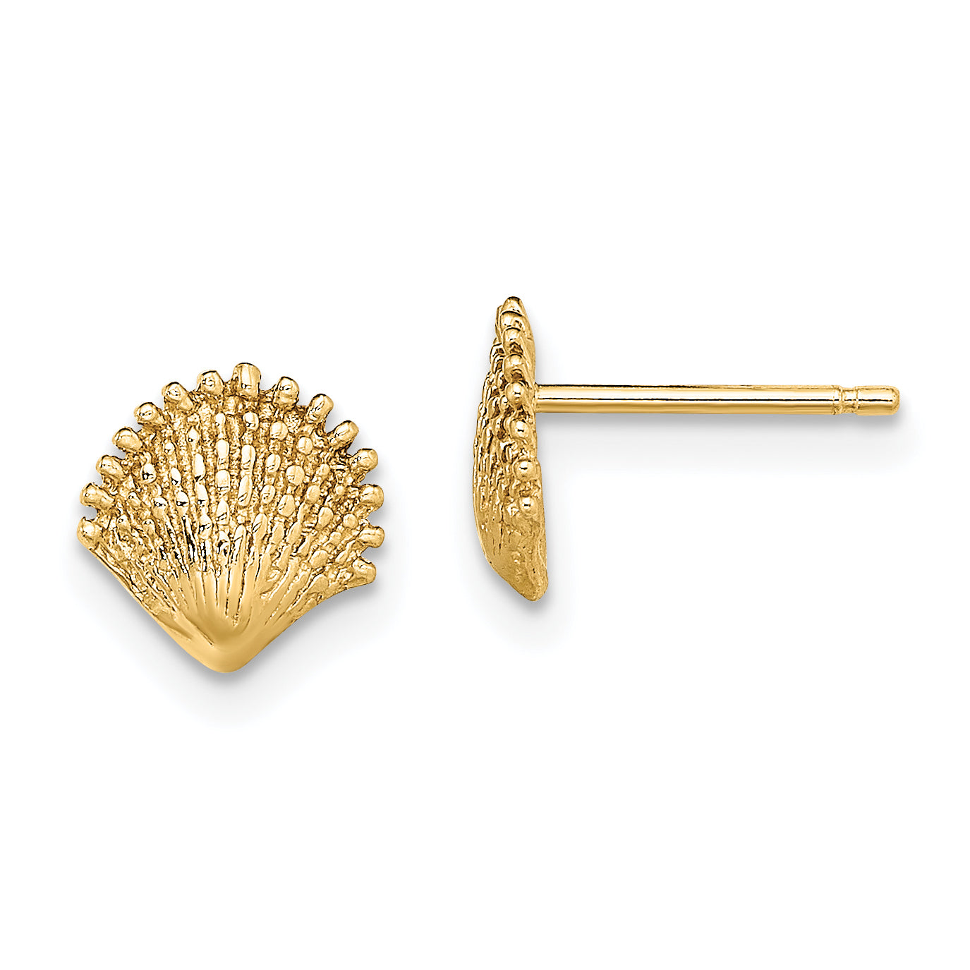 14K Scallop Shell Post Earrings