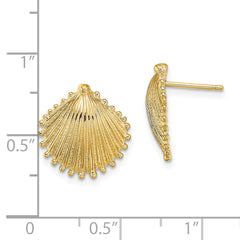 14K Scallop Shell Post Earrings