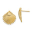 Scallop Shell Stud Earrings in 14K Yellow Gold, 14.15mm - Sophia Jewelers