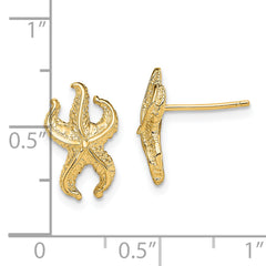14K Starfish Post Earrings