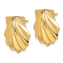 14K Scallop Shell Earrings