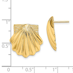 14K Scallop Shell Earrings