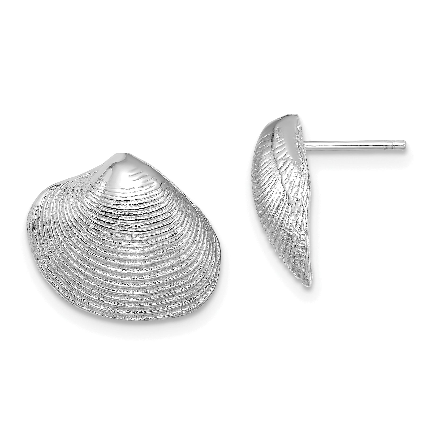 14K White Gold Clam Shell Post Earrings