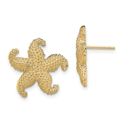 14K Puffed Starfish Post Earrings