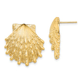 14K Lion's Paw Shell Post Earrings