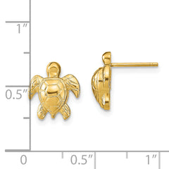 14k Turtle Post Earrings
