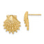 Lion's Paw Shell Stud Earrings in 14K Yellow Gold, 13.5mm - Sophia Jewelers