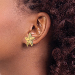 14K Starfish Post Earrings