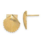 14K 2-D Polished Scallop Shell Post Earrings