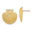 2-D Scallop Shell Stud Earrings in 14K Yellow Gold, 16.6mm Textured - Sophia Jewelers