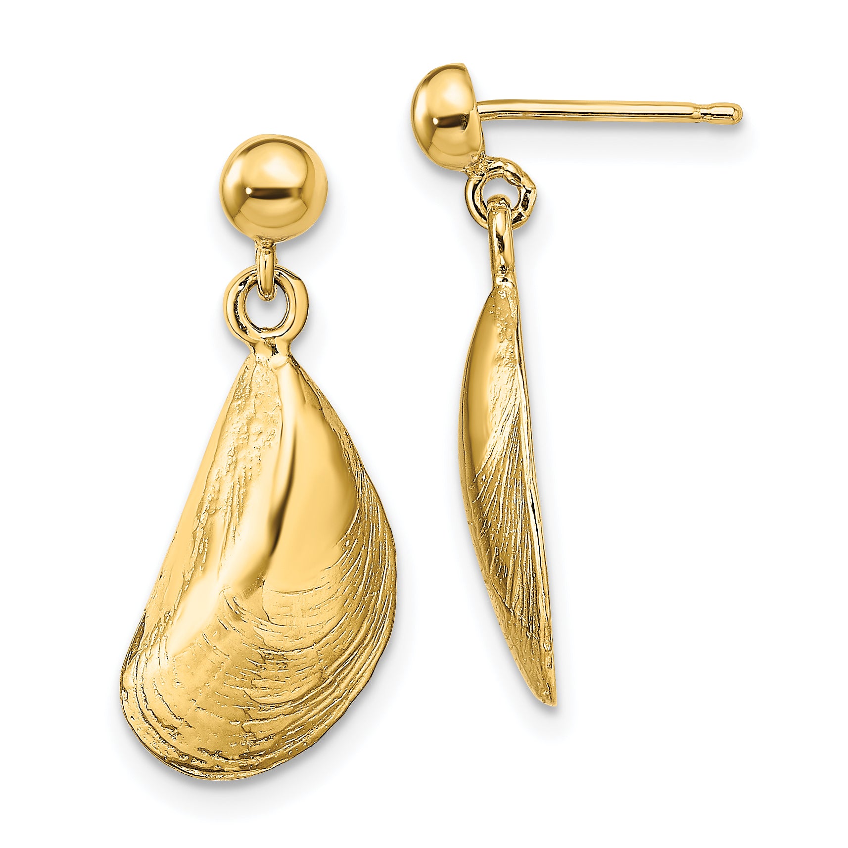14K Mussel Shell Dangle Earrings