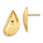 14K Mussel Shell Post Earrings