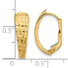 14K Polished and Diamond-cut Leverback Earrings