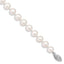 14k White Gold 7-8mm White Near Round Freshwater Cultured Pearl 8.25 inch Bracelet
